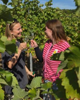 Feels Like Connecting People - Sauvignon Blanc